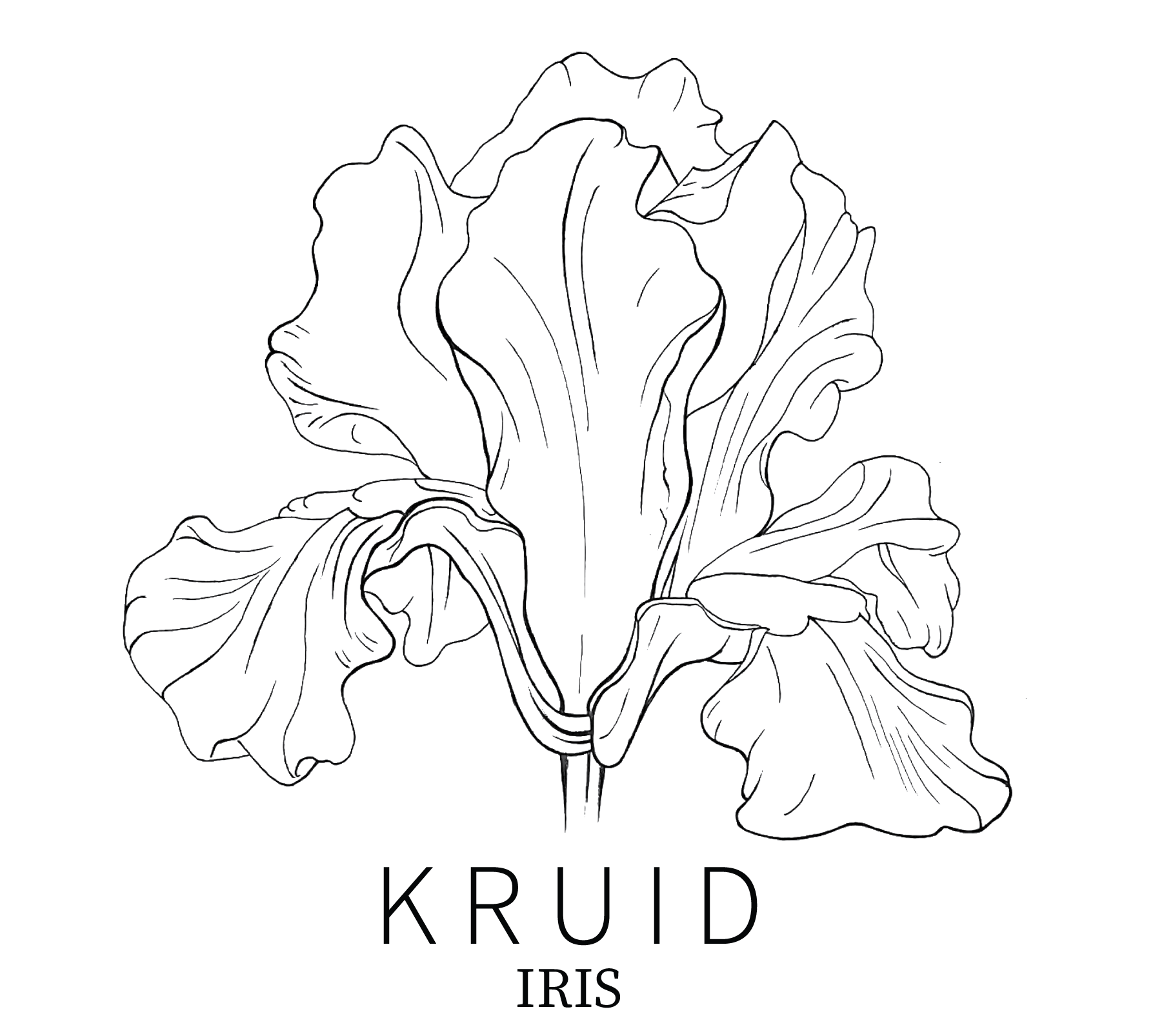 Kruid Iris